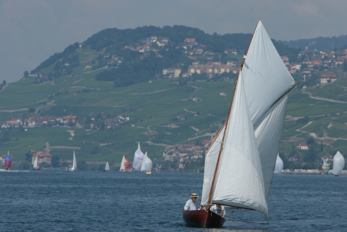 Regate Vieux Bateaux - 194 - 2008